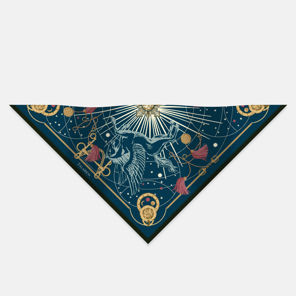 Olympus Light Silk Twill Triangle Scarf